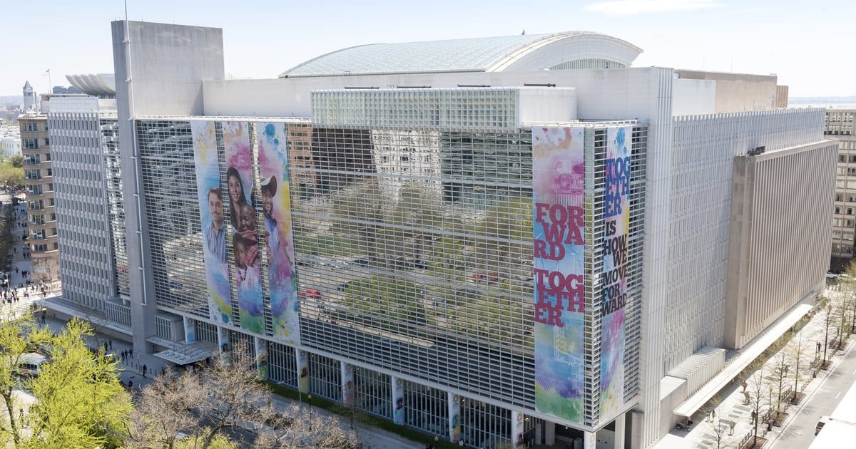 Development Bank Self-Sabotage